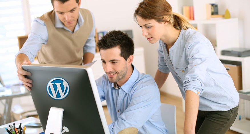 Wordpress Spezialisten - Word Press Agency - Agencia especializada en WP